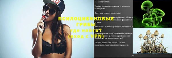 а пвп мука Абаза