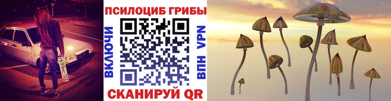 MEGA ссылки  купить   Полярный  Галлюциногенные грибы GOLDEN TEACHER 