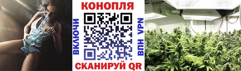 Канабис VHQ  Полярный 